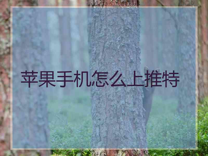 苹果手机怎么上推特