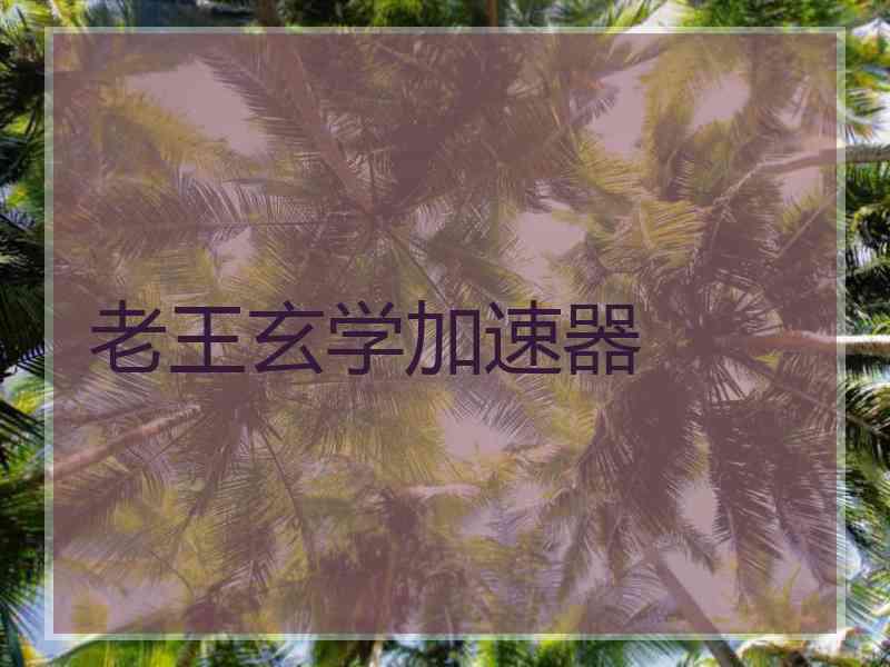 老王玄学加速器