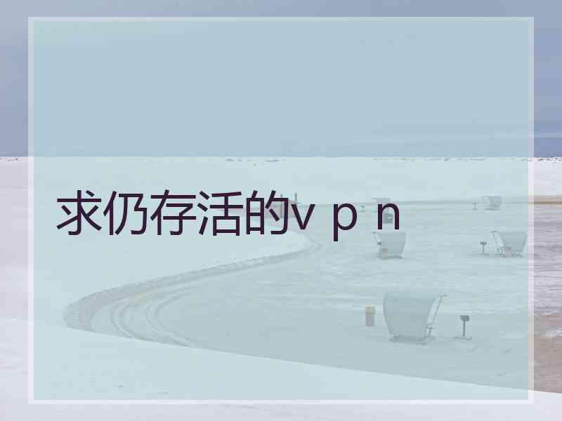 求仍存活的v p n