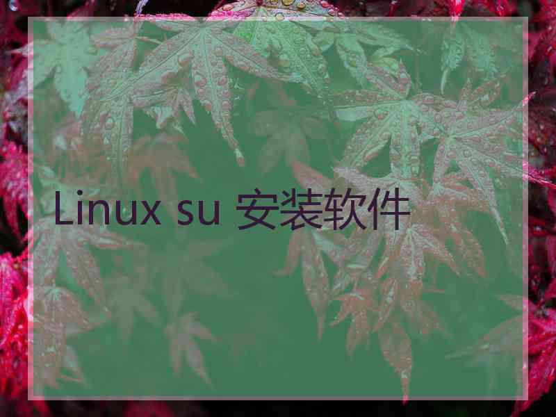 Linux su 安装软件