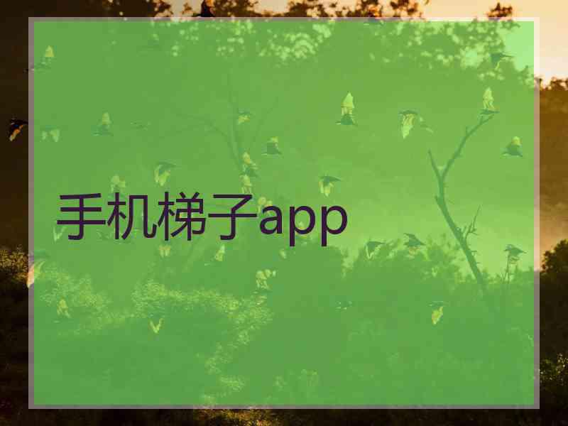 手机梯子app