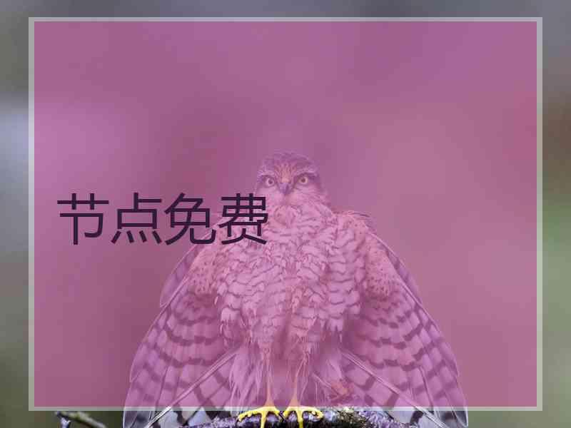 节点免费