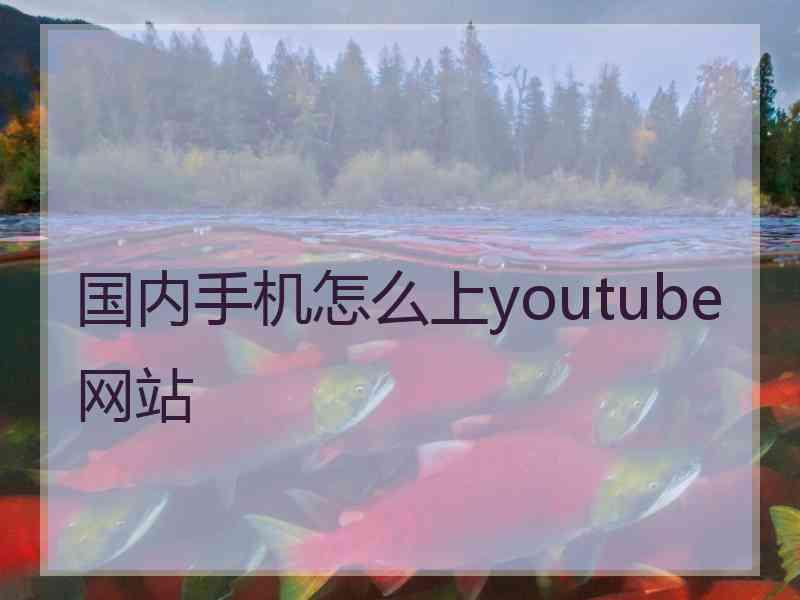 国内手机怎么上youtube网站