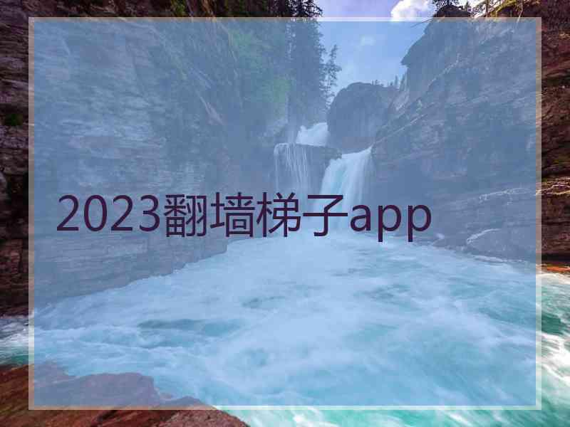 2023翻墙梯子app