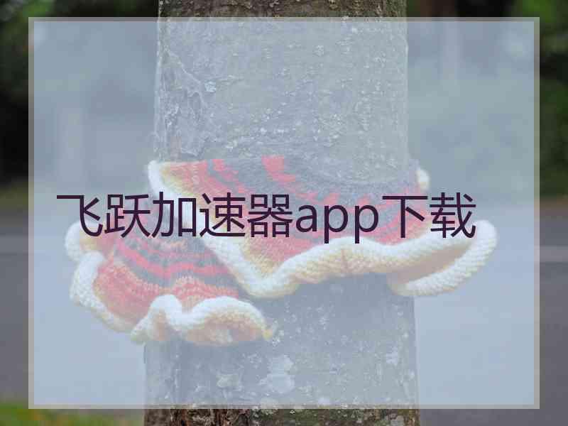 飞跃加速器app下载