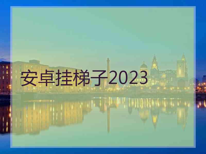 安卓挂梯子2023