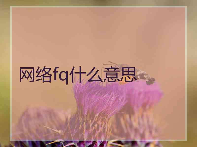 网络fq什么意思