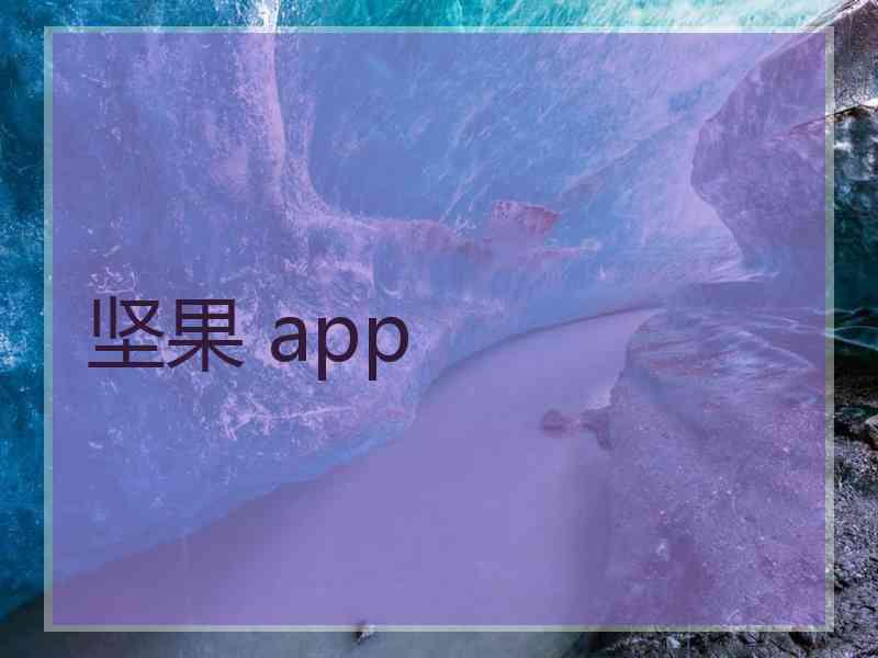 坚果 app