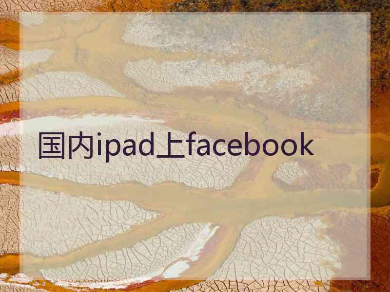 国内ipad上facebook