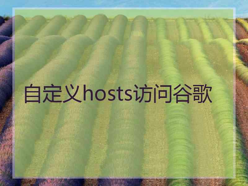 自定义hosts访问谷歌