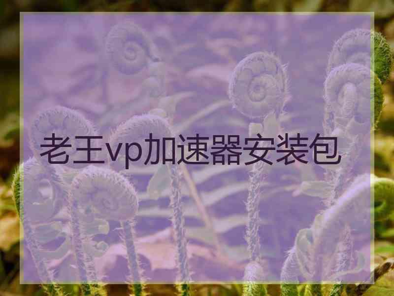 老王vp加速器安装包