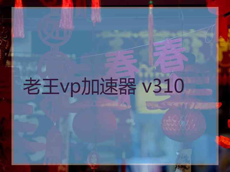 老王vp加速器 v310