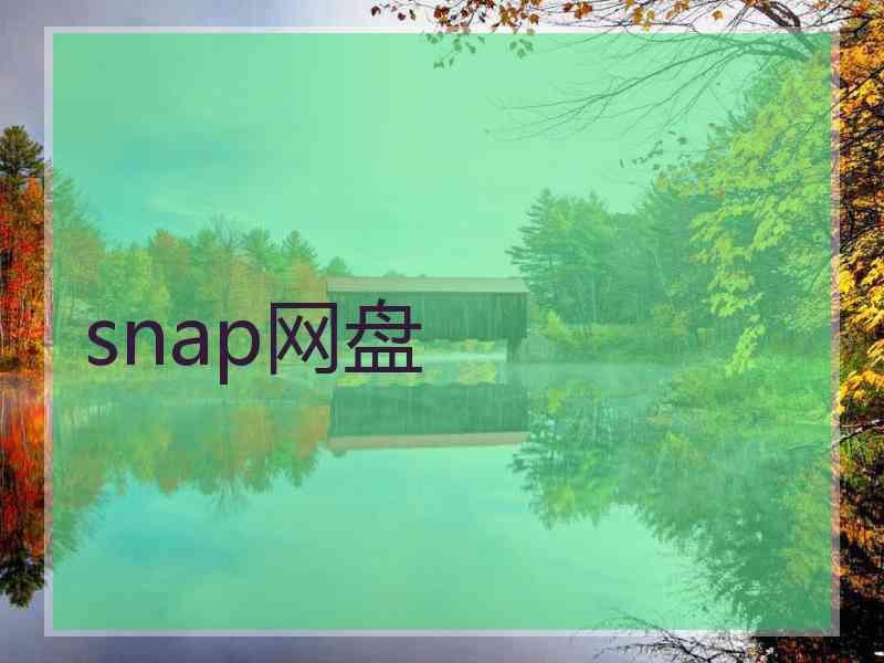 snap网盘