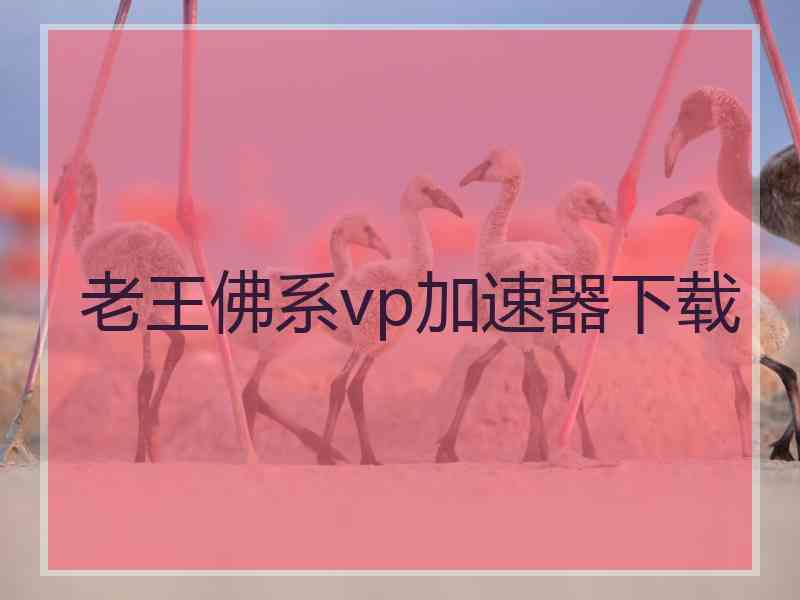 老王佛系vp加速器下载