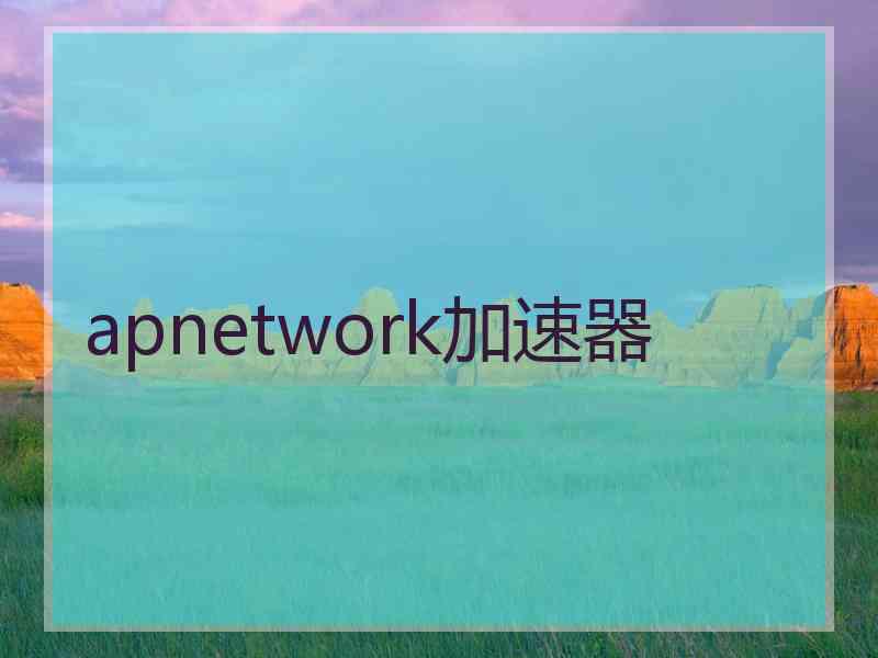 apnetwork加速器