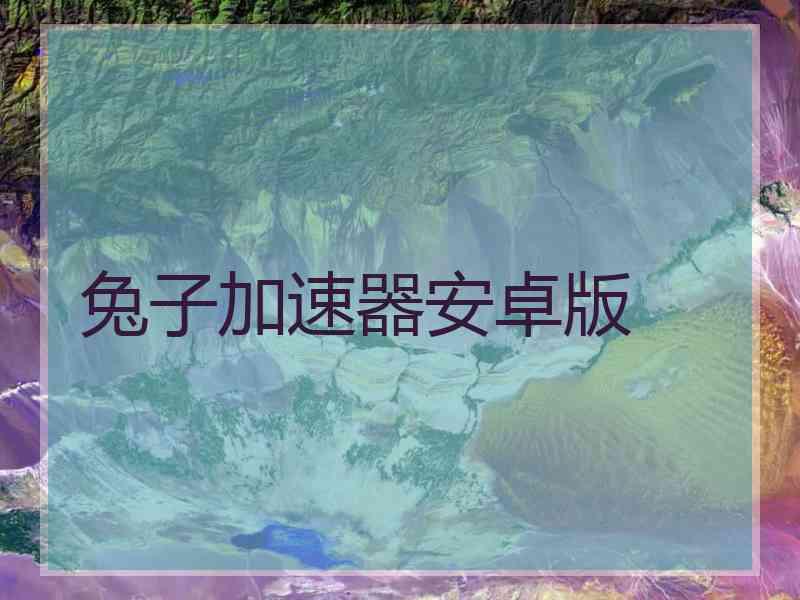 兔子加速器安卓版