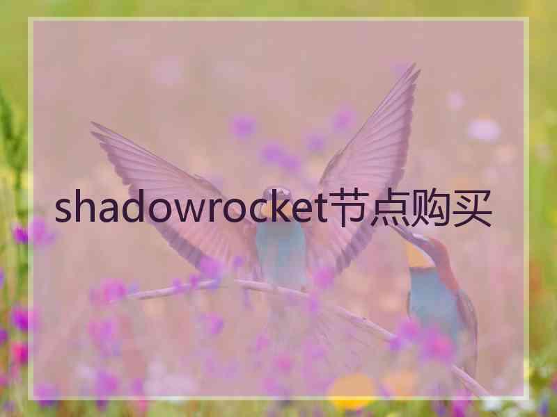 shadowrocket节点购买