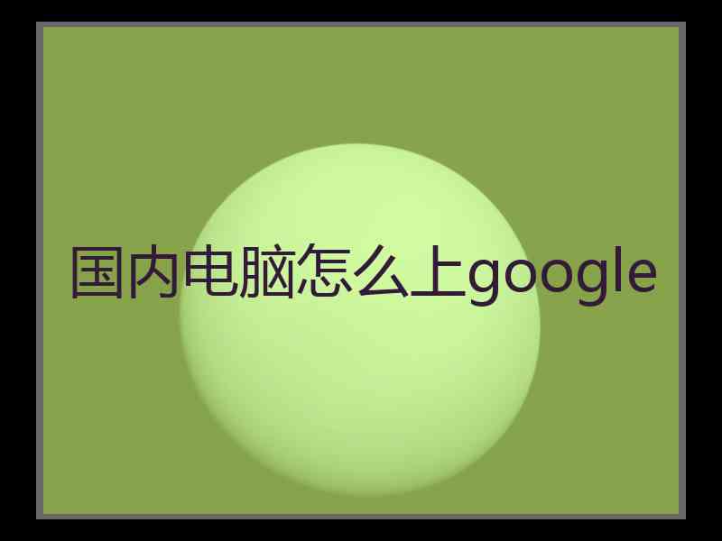 国内电脑怎么上google