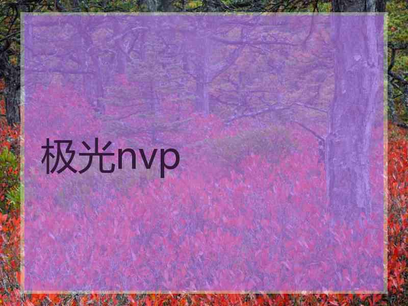 极光nvp