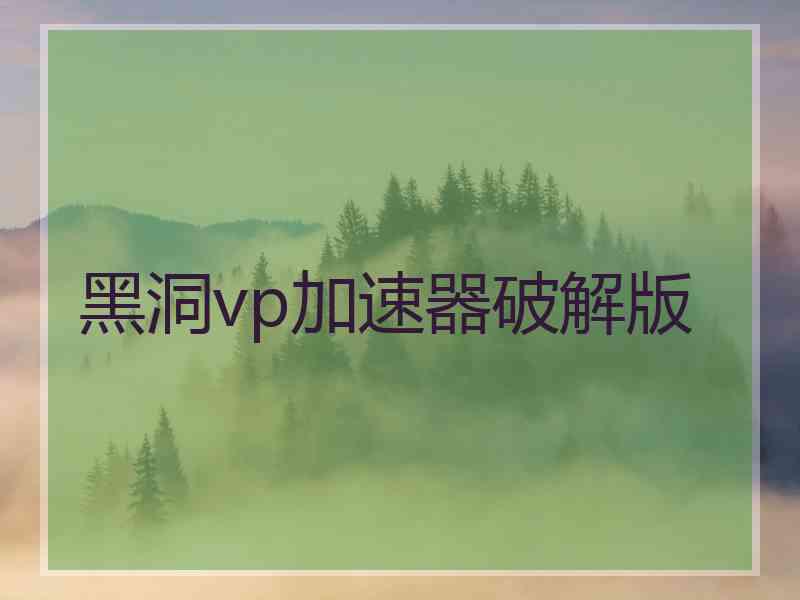 黑洞vp加速器破解版