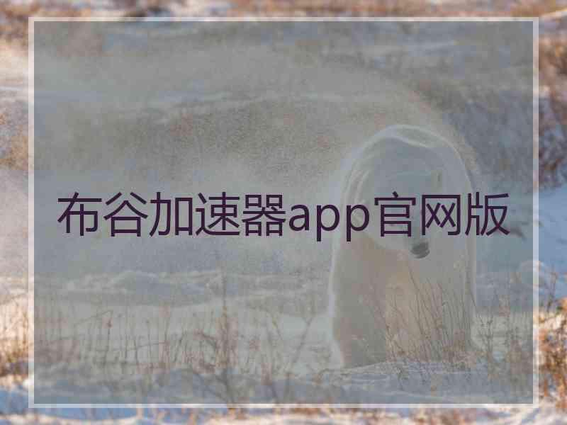 布谷加速器app官网版