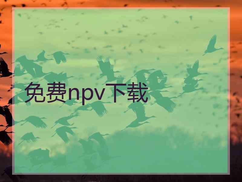 免费npv下载