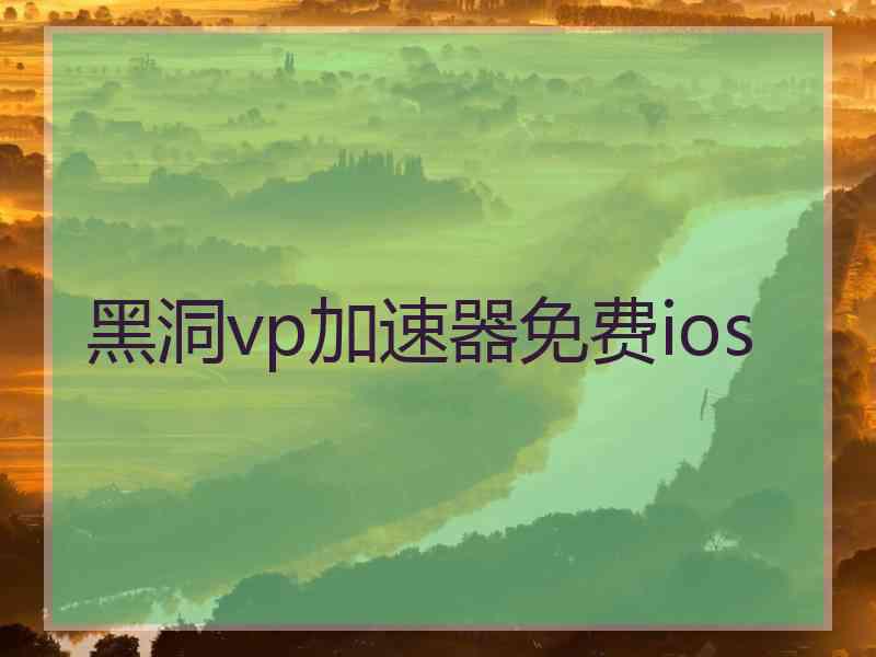 黑洞vp加速器免费ios