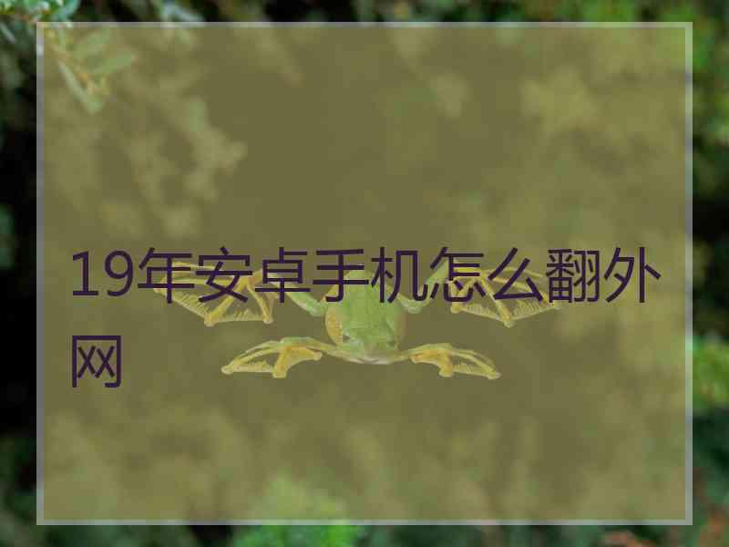 19年安卓手机怎么翻外网