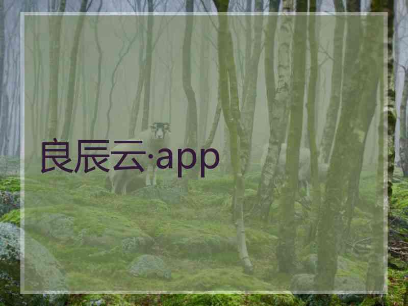 良辰云·app