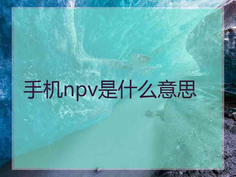 手机npv是什么意思