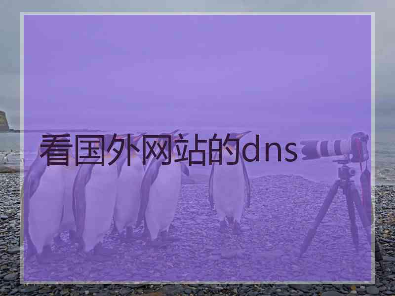 看国外网站的dns