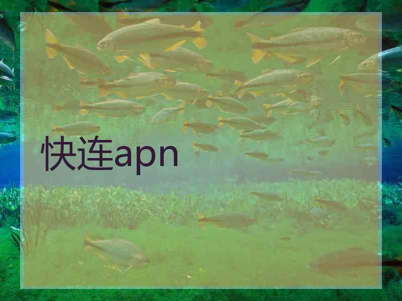 快连apn