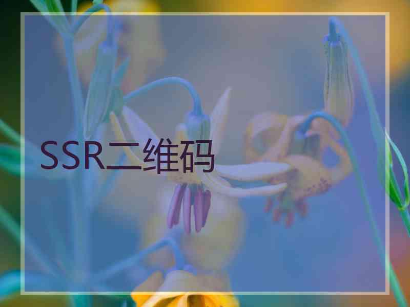 SSR二维码