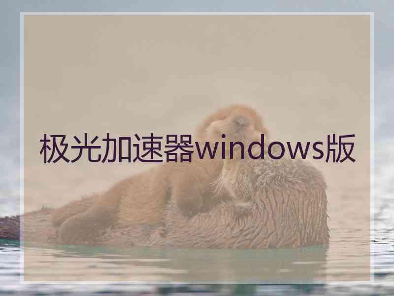 极光加速器windows版