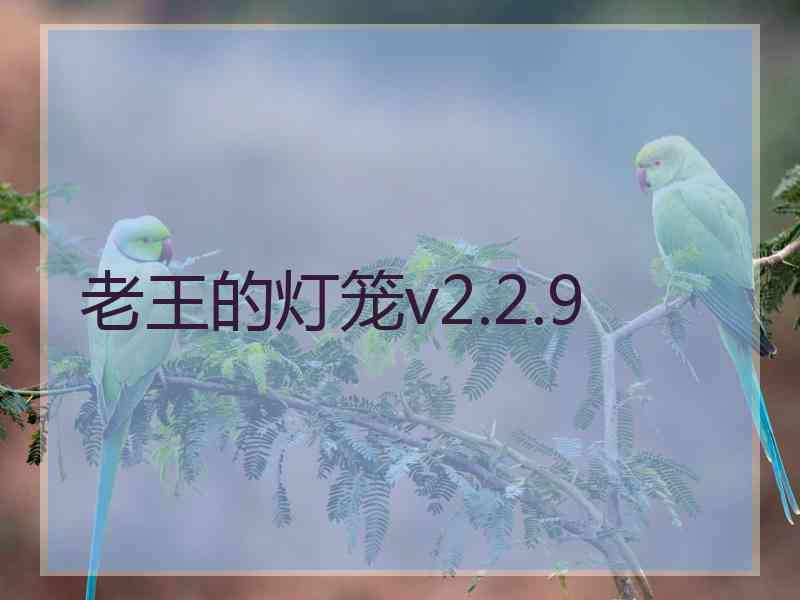 老王的灯笼v2.2.9