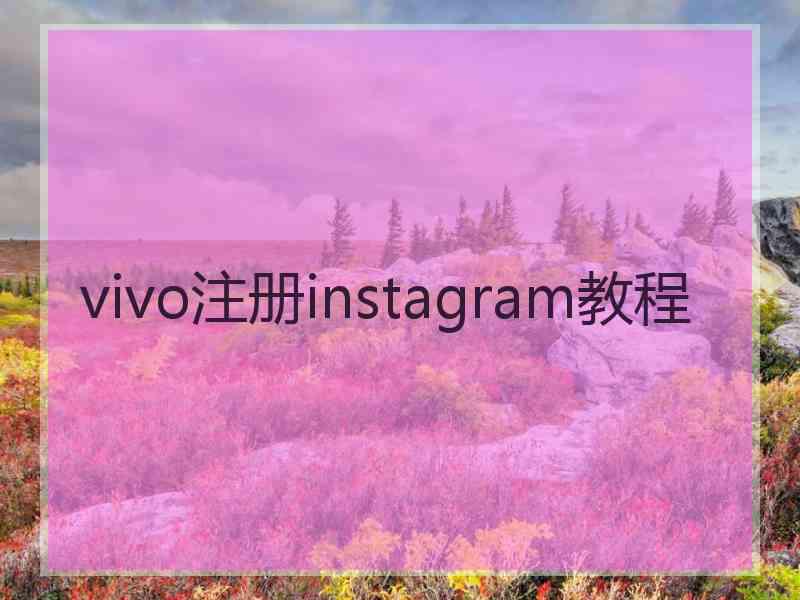 vivo注册instagram教程