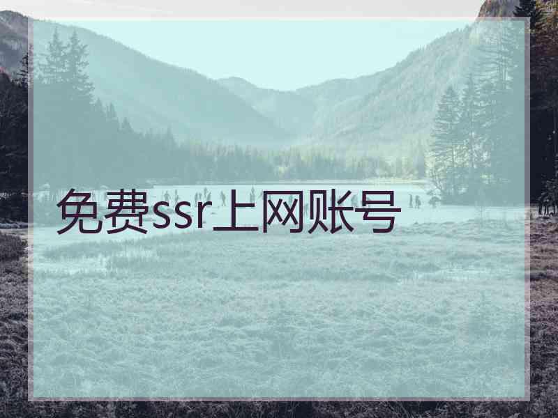 免费ssr上网账号