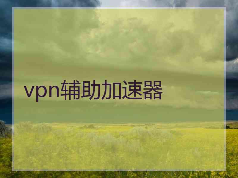 vpn辅助加速器