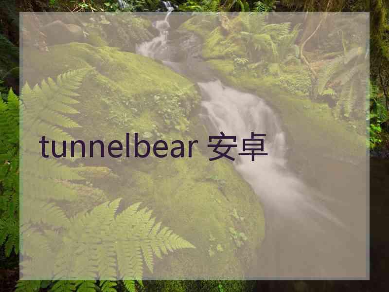 tunnelbear 安卓