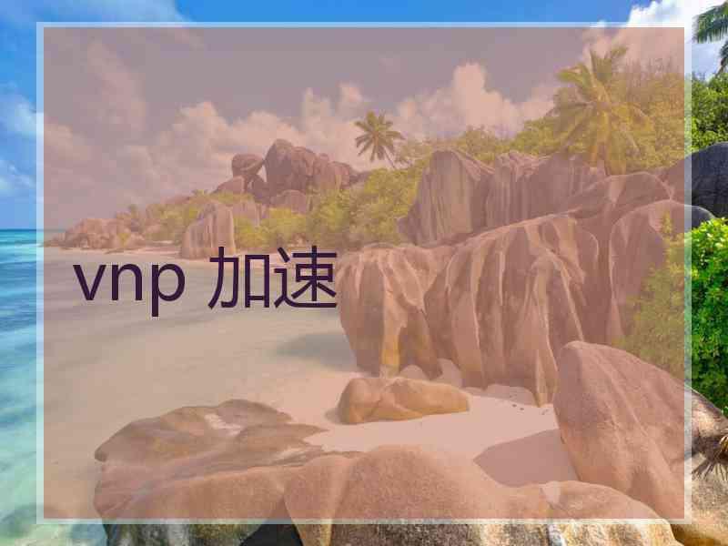 vnp 加速