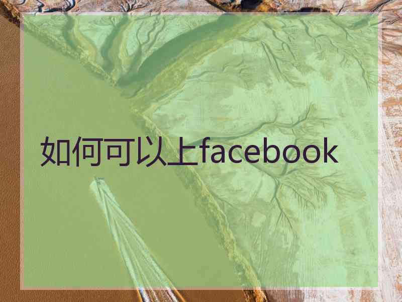 如何可以上facebook