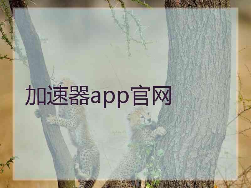 加速器app官网