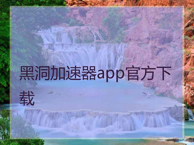 黑洞加速器app官方下载