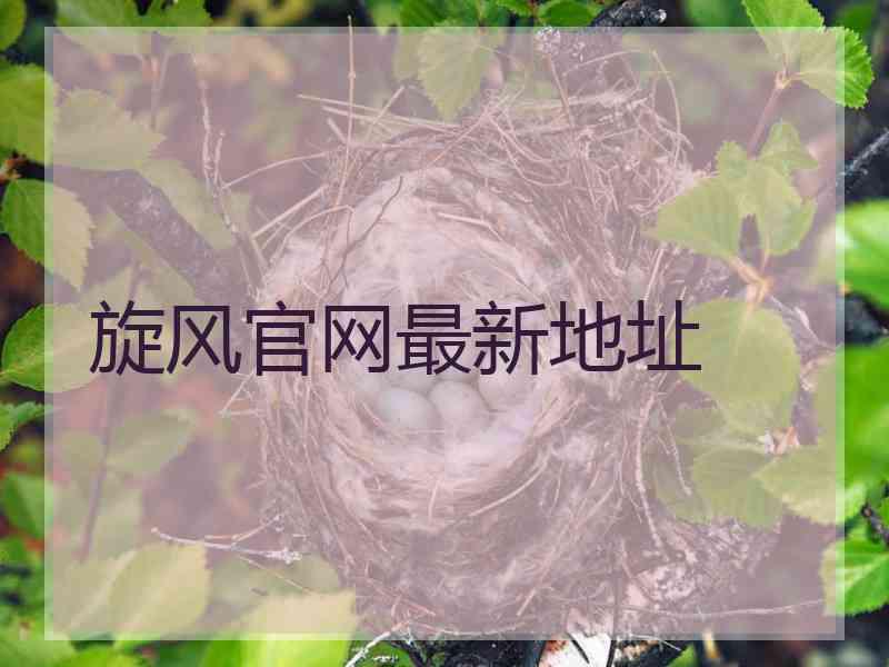 旋风官网最新地址