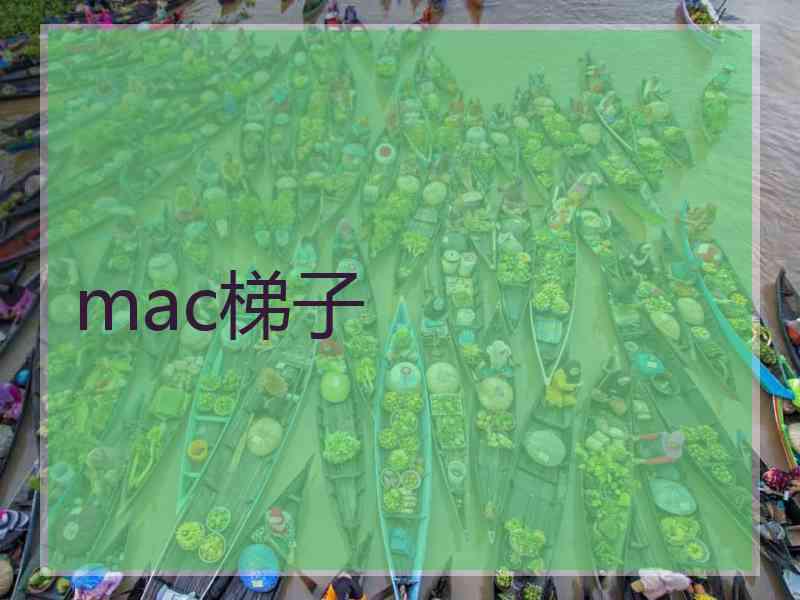 mac梯子