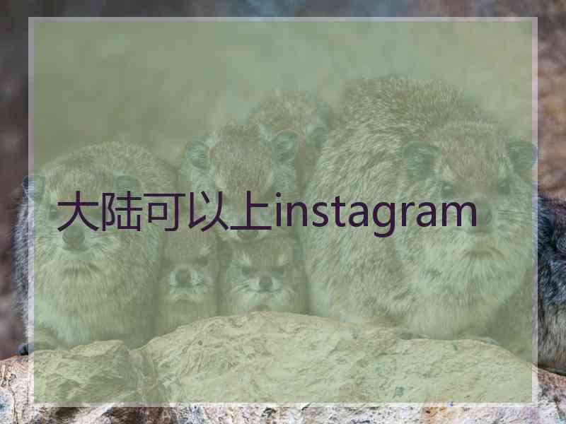 大陆可以上instagram