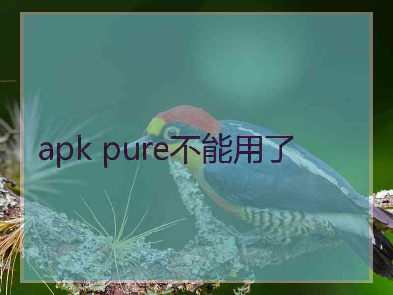 apk pure不能用了