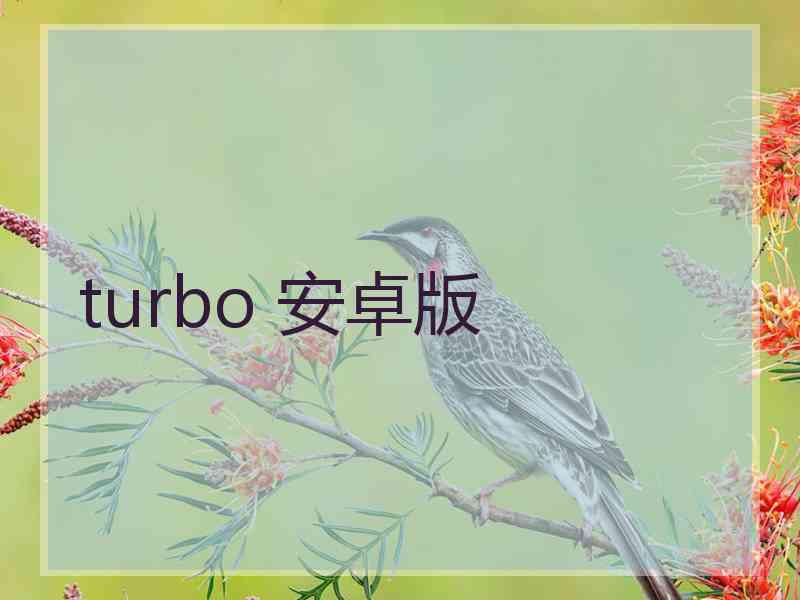 turbo 安卓版