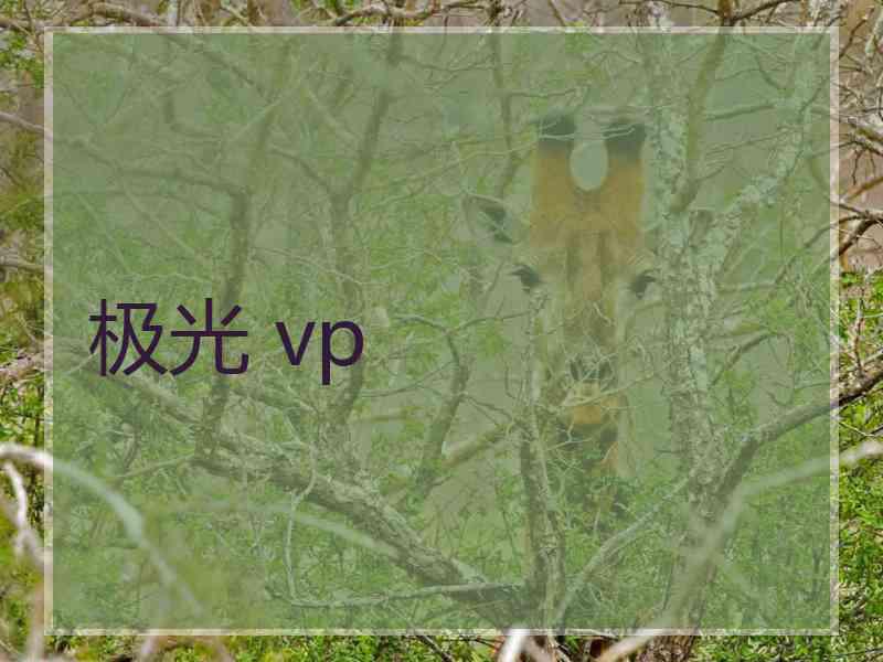 极光 vp