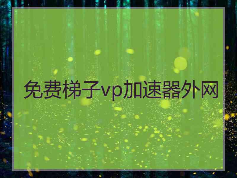 免费梯子vp加速器外网